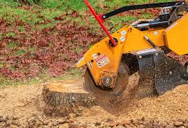 Best Lot and Land Clearing  in Mans, CO