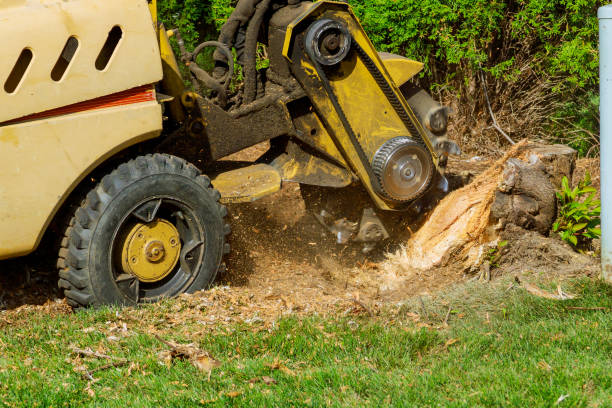 Best Lawn Irrigation Installation and Maintenance  in Mans, CO