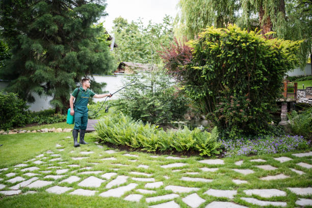 Best Tree Cabling and Bracing  in Mans, CO
