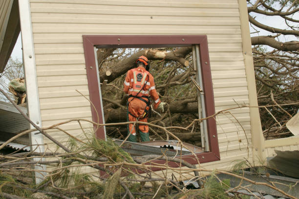 Best Tree Trimming and Pruning  in Mans, CO