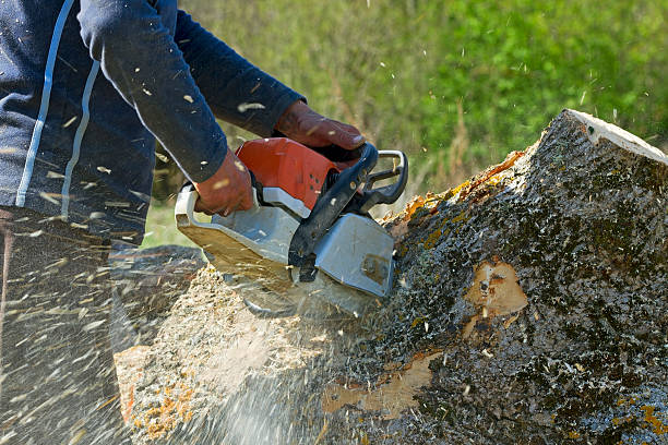 Best Pest Control for Lawns  in Mans, CO